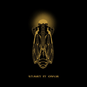 芙宁娜调教成yin荡玩物
