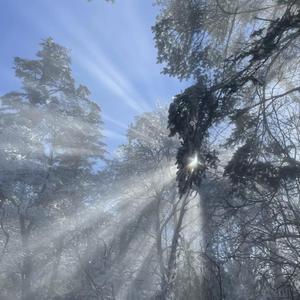 做爱片色情片日本大胸
