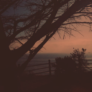 三级片姐弟乱伦
