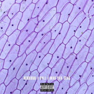 揉我胸⋯啊⋯嗯～出奶了3D
