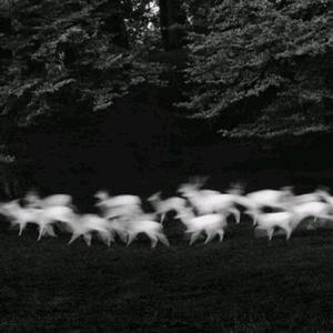 1000部拍拍拍18勿入免贳网站
