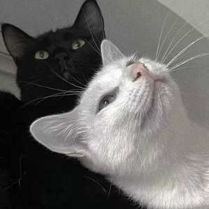 174美女极品粉嫩美鲍
