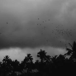 护士吴梦梦的性荡生活
