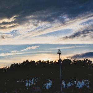 做爱片色情片日本大胸
