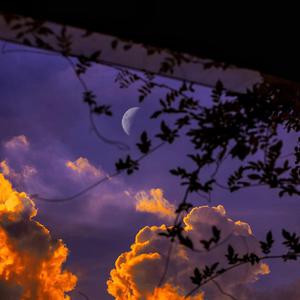 cekc高清bnдeo浓毛
