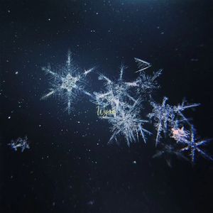 做爱片色情片日本大胸
