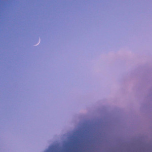 国模特冰冰白灵最好看
