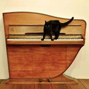 护士吴梦梦的性荡生活
