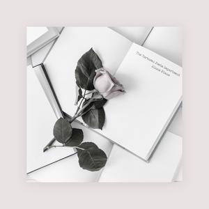 十八十九一级A片
