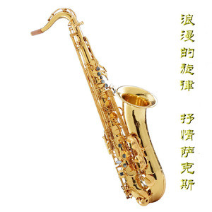 肏日本女人小白屄视频
