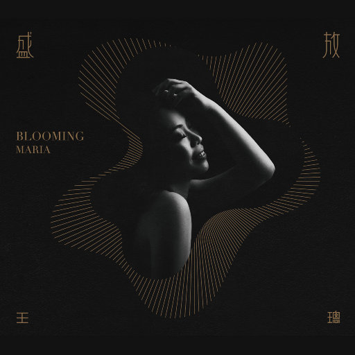 免费黄色短视频
