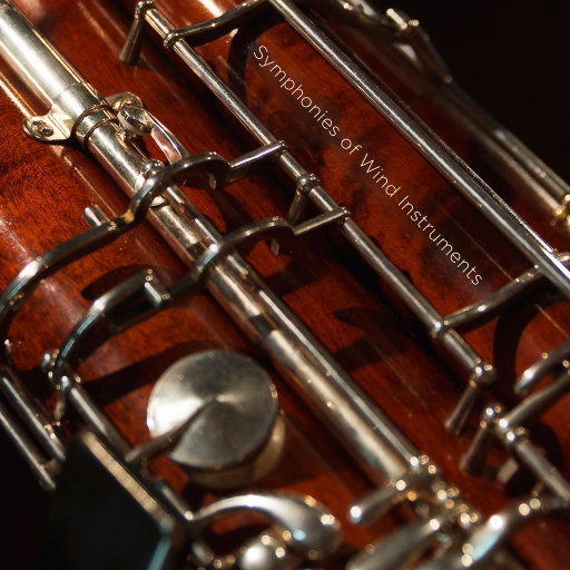 安姨经典电影50部免费
